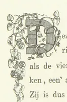 Picture 65 of 127 from Ons Vaderland en zijne Bewoners ... Met ... platen, etc (1855), leaf 276