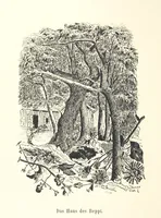 Picture 42 of 57 from Lose Blätter aus Abazia. Mit 32 Illustrationen. [By Louis Salvator, Archduke of Austria (1886), leaf 114
