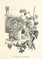 Picture 46 of 57 from Lose Blätter aus Abazia. Mit 32 Illustrationen. [By Louis Salvator, Archduke of Austria (1886), leaf 125