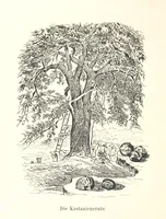 Picture 55 of 57 from Lose Blätter aus Abazia. Mit 32 Illustrationen. [By Louis Salvator, Archduke of Austria (1886), leaf 160