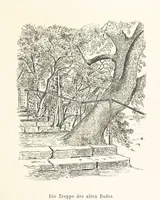 Picture 15 of 57 from Lose Blätter aus Abazia. Mit 32 Illustrationen. [By Louis Salvator, Archduke of Austria (1886), leaf 43