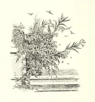 An illustration from Lose Blätter aus Abazia. Mit 32 Illustrationen. [By Louis Salvator, Archduke of Austria (1886)