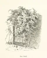 An illustration from Lose Blätter aus Abazia. Mit 32 Illustrationen. [By Louis Salvator, Archduke of Austria (1886)
