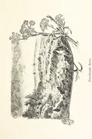 Picture 32 of 57 from Lose Blätter aus Abazia. Mit 32 Illustrationen. [By Louis Salvator, Archduke of Austria (1886), leaf 85