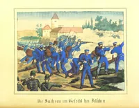 Picture 8 of 33 from Illustrirte Kriegs-Chronik des Jahres 1866, etc (1868), leaf 68