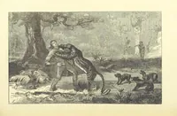 An illustration from Adventures round the World. With ... illustrations (1880)