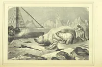 An illustration from Adventures round the World. With ... illustrations (1880)