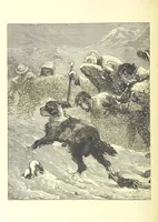 An illustration from Adventures round the World. With ... illustrations (1880)