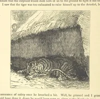 An illustration from Adventures round the World. With ... illustrations (1880)