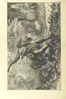 An illustration from Adventures round the World. With ... illustrations (1880)