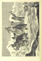 An illustration from Adventures round the World. With ... illustrations (1880)