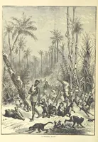 An illustration from Adventures round the World. With ... illustrations (1880)