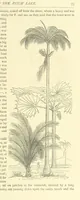 An illustration from Adventures round the World. With ... illustrations (1880)