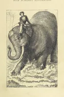An illustration from Adventures round the World. With ... illustrations (1880)