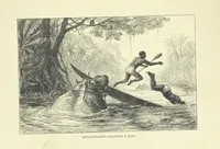 An illustration from The Land of the Lion; or, Adventures among the wild animals of Africa. With ... illustrations (1876)