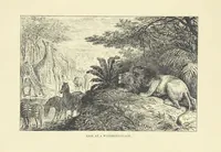 An illustration from The Land of the Lion; or, Adventures among the wild animals of Africa. With ... illustrations (1876)