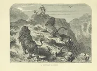 An illustration from The Land of the Lion; or, Adventures among the wild animals of Africa. With ... illustrations (1876)