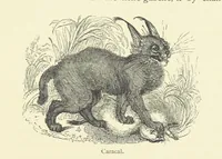 An illustration from The Land of the Lion; or, Adventures among the wild animals of Africa. With ... illustrations (1876)