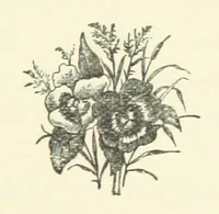 An illustration from Saved by a Secret. A story of Siberian exile and adventure (1892)