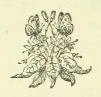 An illustration from Merry England: or, Nobles and Serfs (1874)