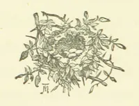 An illustration from Merry England: or, Nobles and Serfs (1874)