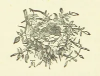 An illustration from Merry England: or, Nobles and Serfs (1874)