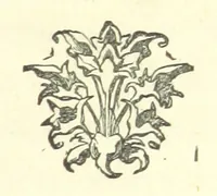 An illustration from Merry England: or, Nobles and Serfs (1874)
