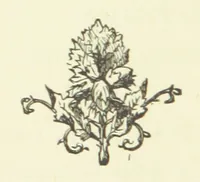 An illustration from Merry England: or, Nobles and Serfs (1874)