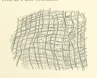 An illustration from The Riviera: pen and pencil sketches from Cannes to Genoa ... With ... chromo-lithographic illustrations ... from drawings by the author (1870)