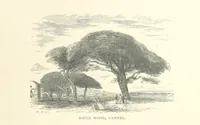 Picture 78 of 82 from The Riviera: pen and pencil sketches from Cannes to Genoa ... With ... chromo-lithographic illustrations ... from drawings by the author (1870), leaf 177