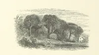 An illustration from The Riviera: pen and pencil sketches from Cannes to Genoa ... With ... chromo-lithographic illustrations ... from drawings by the author (1870)