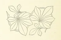 An illustration from Notice sur le château, les anciens seigneurs et la paroisse de Mauvezin, près Marmande ... Accompagnée de nombreux dessins, etc. [With an introduction by J. P. Tamizey de Larroque (1887)