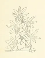 An illustration from Notice sur le château, les anciens seigneurs et la paroisse de Mauvezin, près Marmande ... Accompagnée de nombreux dessins, etc. [With an introduction by J. P. Tamizey de Larroque (1887)