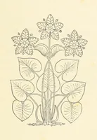 An illustration from Notice sur le château, les anciens seigneurs et la paroisse de Mauvezin, près Marmande ... Accompagnée de nombreux dessins, etc. [With an introduction by J. P. Tamizey de Larroque (1887)