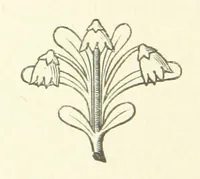 An illustration from Notice sur le château, les anciens seigneurs et la paroisse de Mauvezin, près Marmande ... Accompagnée de nombreux dessins, etc. [With an introduction by J. P. Tamizey de Larroque (1887)