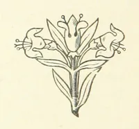 An illustration from Notice sur le château, les anciens seigneurs et la paroisse de Mauvezin, près Marmande ... Accompagnée de nombreux dessins, etc. [With an introduction by J. P. Tamizey de Larroque (1887)