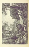 An illustration from The Okavango River: a narrative of travel, exploration, and adventure ... With numerous illustrations (1861)