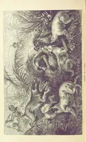 An illustration from The Okavango River: a narrative of travel, exploration, and adventure ... With numerous illustrations (1861)