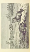 An illustration from The Okavango River: a narrative of travel, exploration, and adventure ... With numerous illustrations (1861)