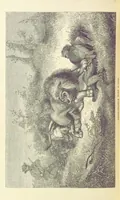 An illustration from The Okavango River: a narrative of travel, exploration, and adventure ... With numerous illustrations (1861)