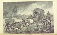 An illustration from The Okavango River: a narrative of travel, exploration, and adventure ... With numerous illustrations (1861)