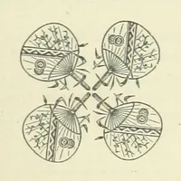 An illustration from North Country Poets. Poems and biographies of natives or residents of Northumberland, Cumberland, Westmoreland, Durham, Lancashire and Yorkshire. Edited by W. Andrews (1888)