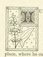 Picture 1 of 12 from North Country Poets. Poems and biographies of natives or residents of Northumberland, Cumberland, Westmoreland, Durham, Lancashire and Yorkshire. Edited by W. Andrews (1888), leaf 22
