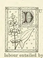 An illustration from North Country Poets. Poems and biographies of natives or residents of Northumberland, Cumberland, Westmoreland, Durham, Lancashire and Yorkshire. Edited by W. Andrews (1888)