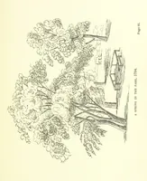 An illustration from Hyde Park from Domesday-Book to date, etc (1896)