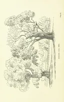 An illustration from Hyde Park from Domesday-Book to date, etc (1896)