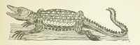 An illustration from Modern Street Ballads. With ... illustrations (1888)