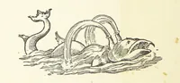 An illustration from Real Sailor-Songs. Collected and edited by J. Ashton. Two hundred illustrations. [Reproductions of broadsheets (1891)