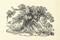 An illustration from Real Sailor-Songs. Collected and edited by J. Ashton. Two hundred illustrations. [Reproductions of broadsheets (1891)