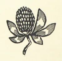 An illustration from Real Sailor-Songs. Collected and edited by J. Ashton. Two hundred illustrations. [Reproductions of broadsheets (1891)